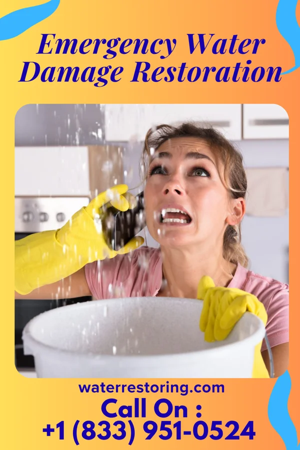 Emergency Water Damage Restoration in Albia, IA