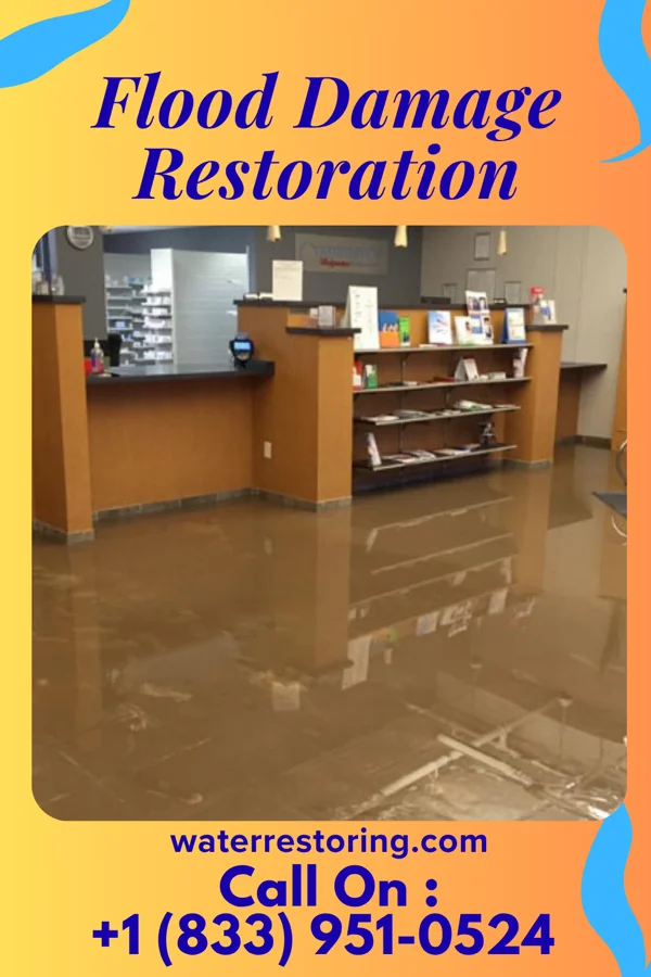 Flood Damage Restoration in Albia, IA
